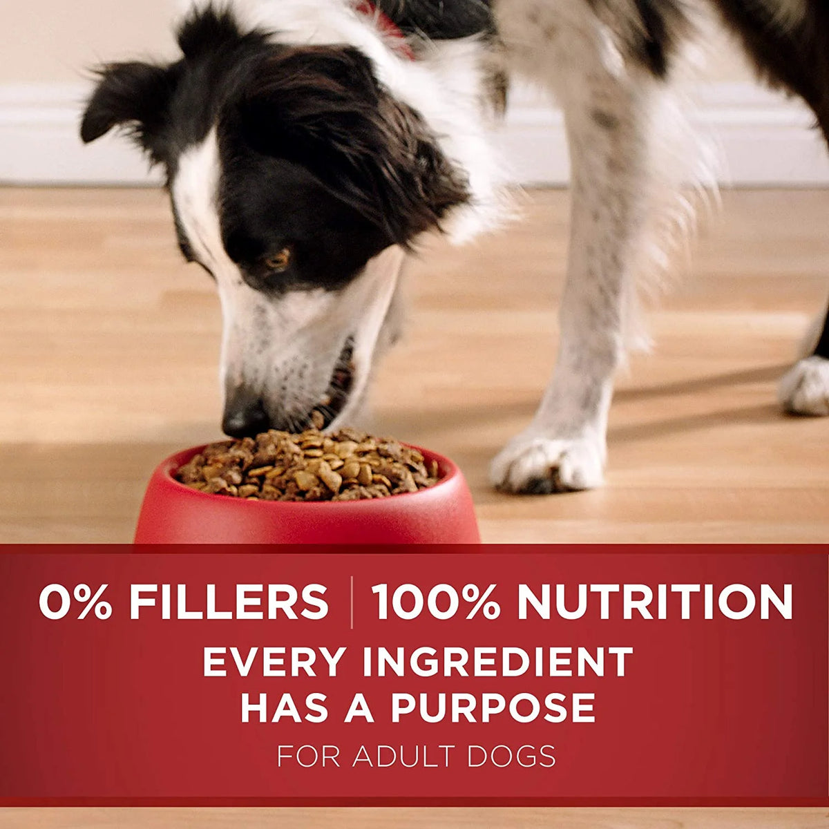 31.1 lb. Dry Dog Food Lamb & Rice Formula H283672