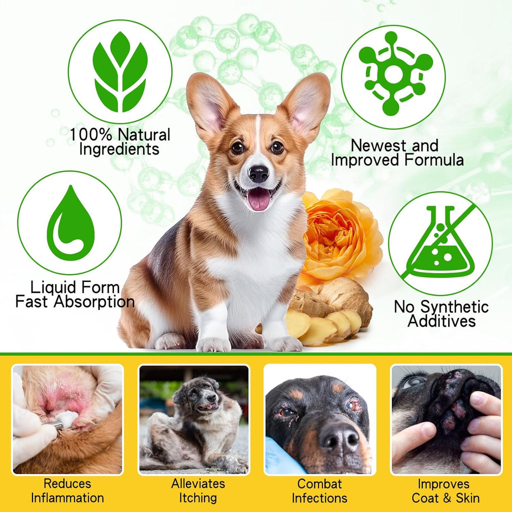 Dog Ear Infection Treatment - 2 fl oz G53440