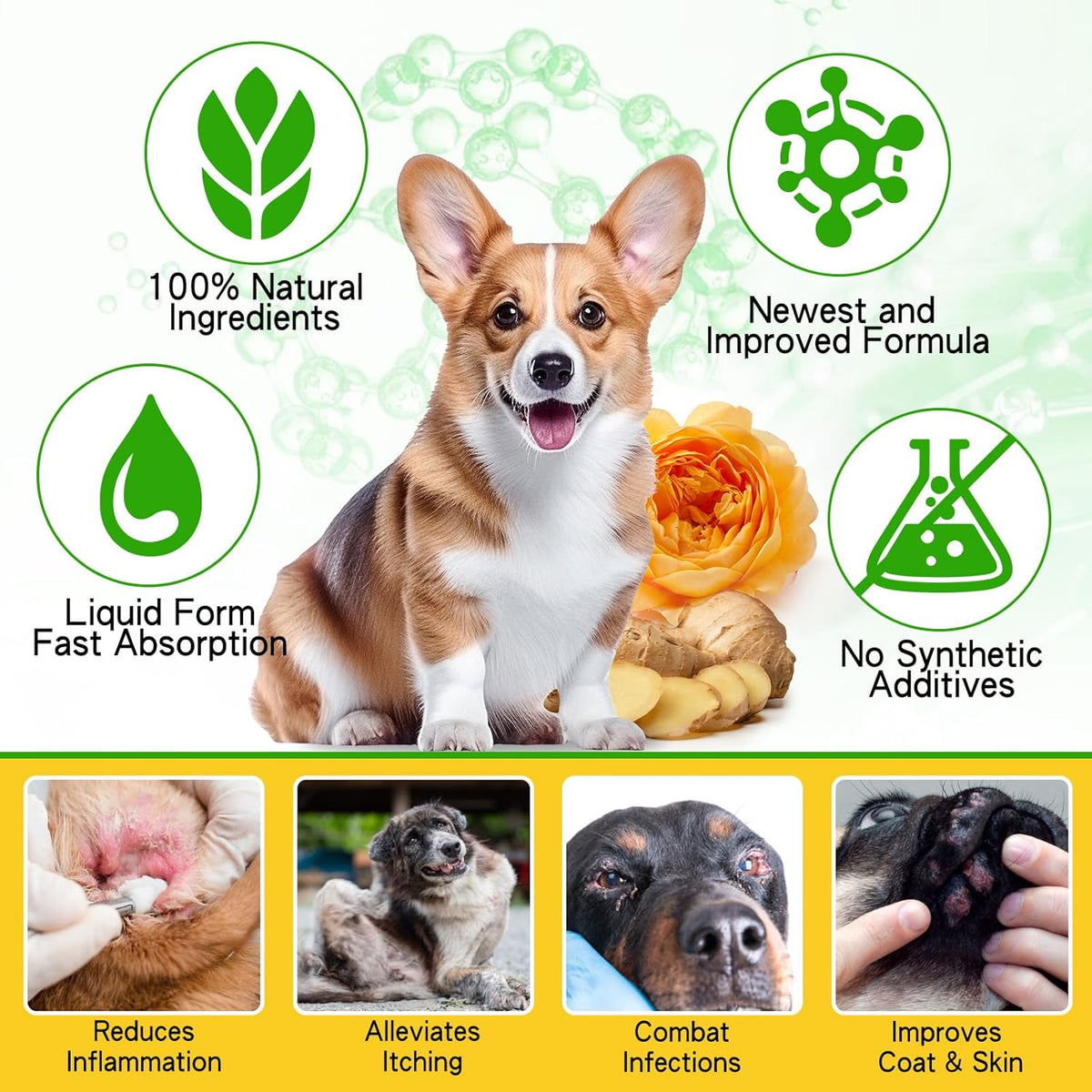 Dog Ear Infection Treatment - 2 fl oz G53440