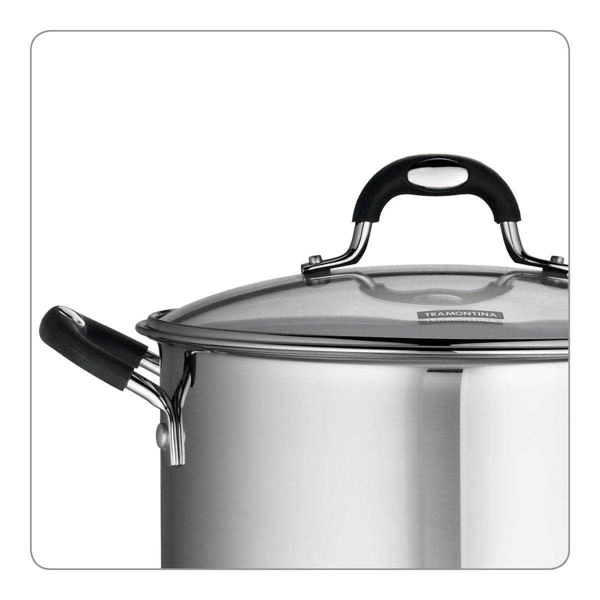 Stainless Steel 8 Quart Stock Pot W848
