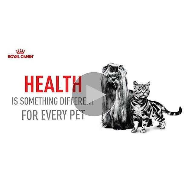 Adult Cat Food V137020