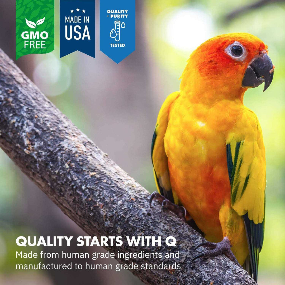 Avian Calm Q124115