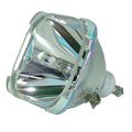 Projector Replacement Lamp with Housing V796