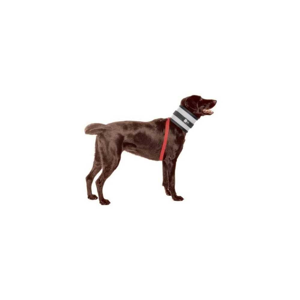 Pet Collar E40128