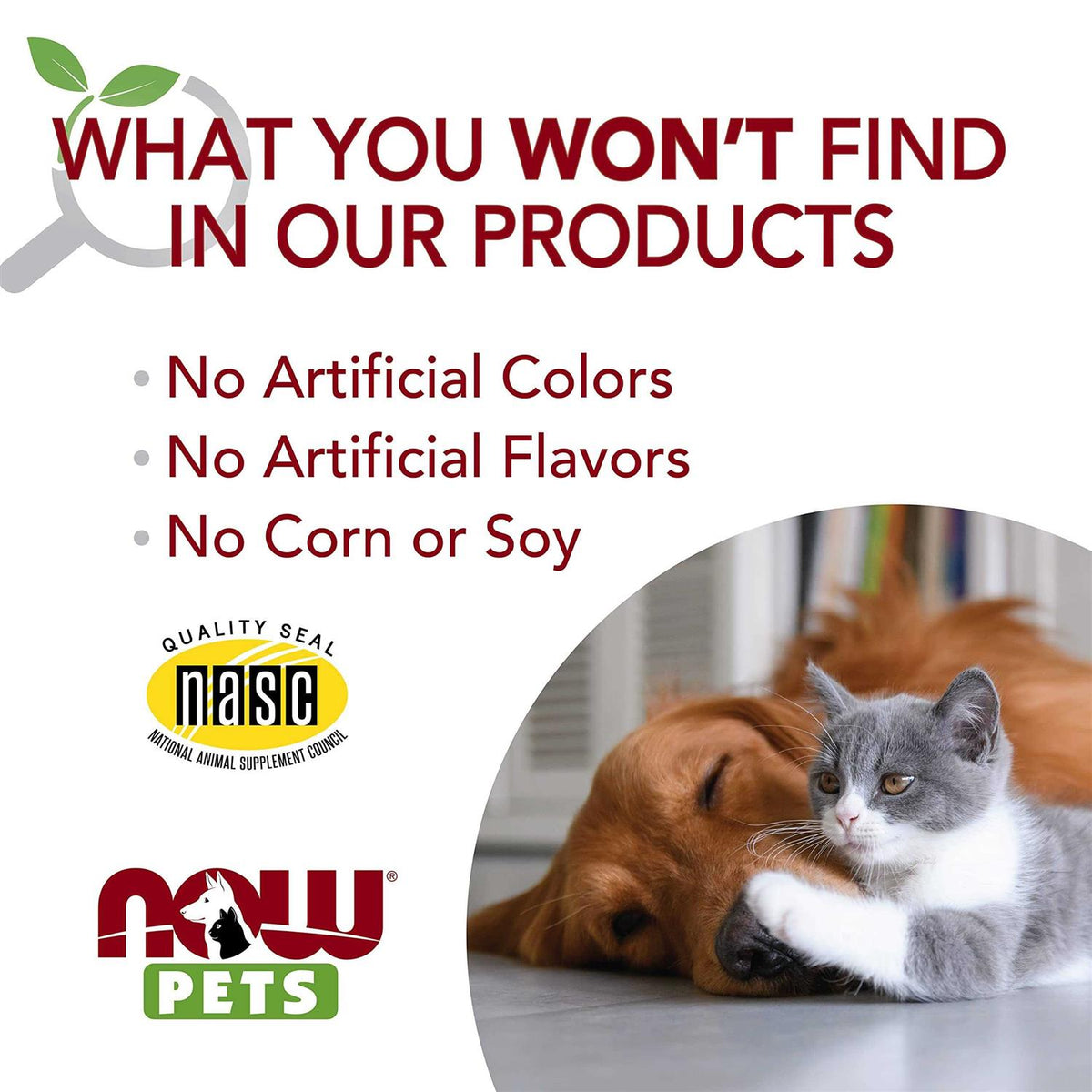 Pet Allergy U18696