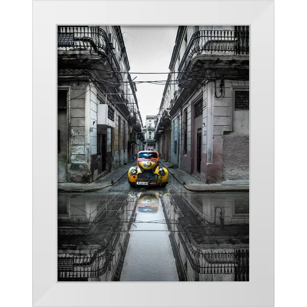 White Modern Wood Framed Art Print Y546