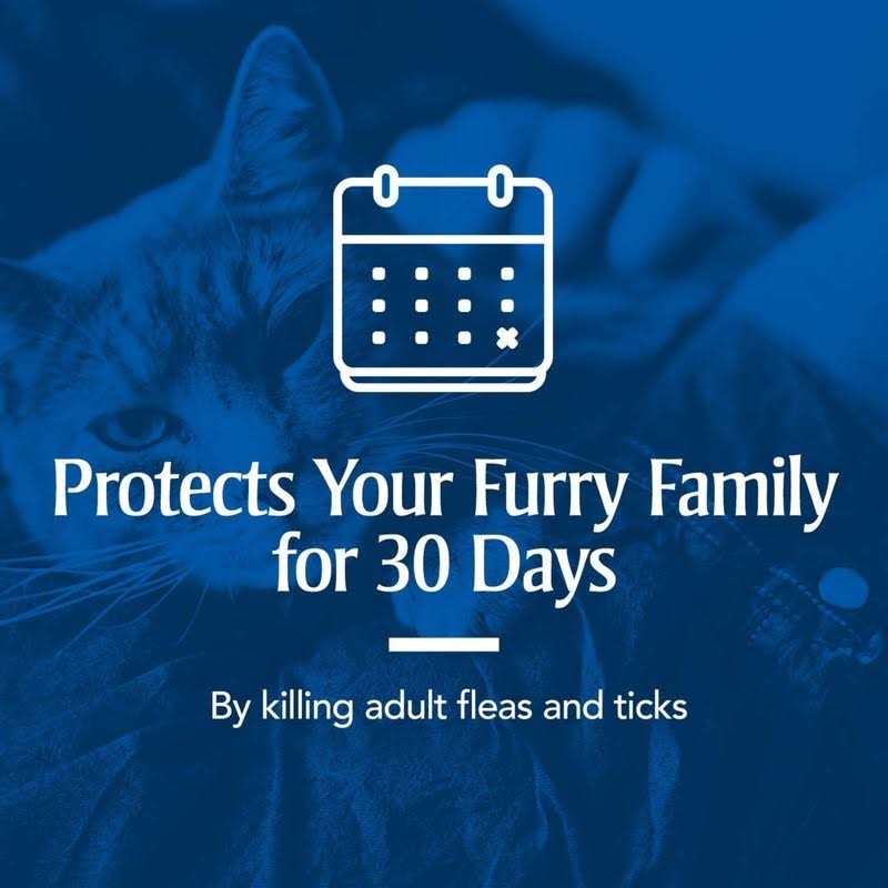 Flea and Tick Treatment for Cats U41497