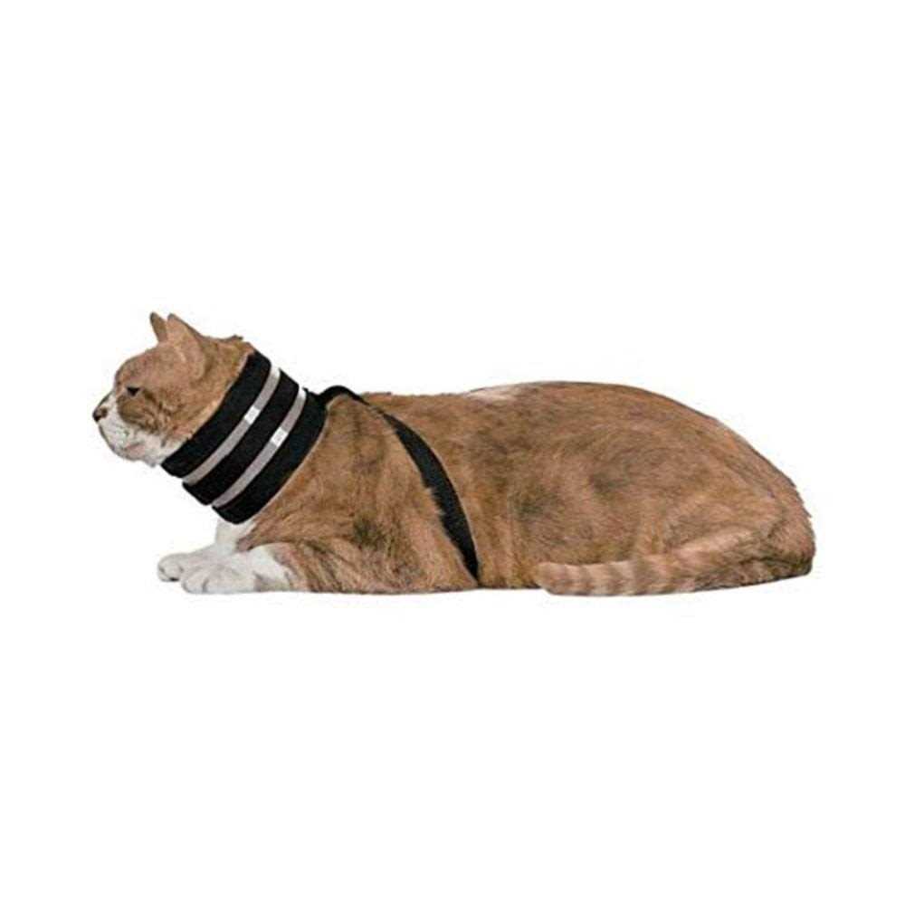 Pet Collar E40128