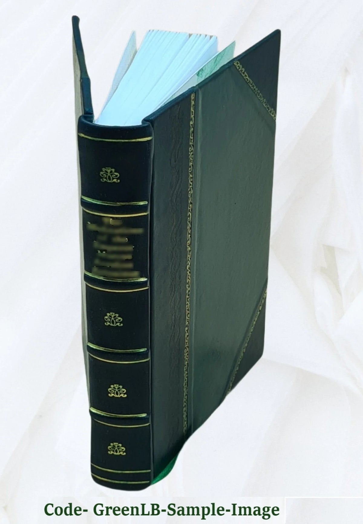 Leather Bound Book B8233