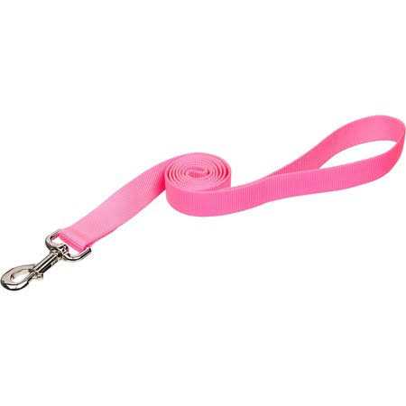 Exercise Saucer F272957