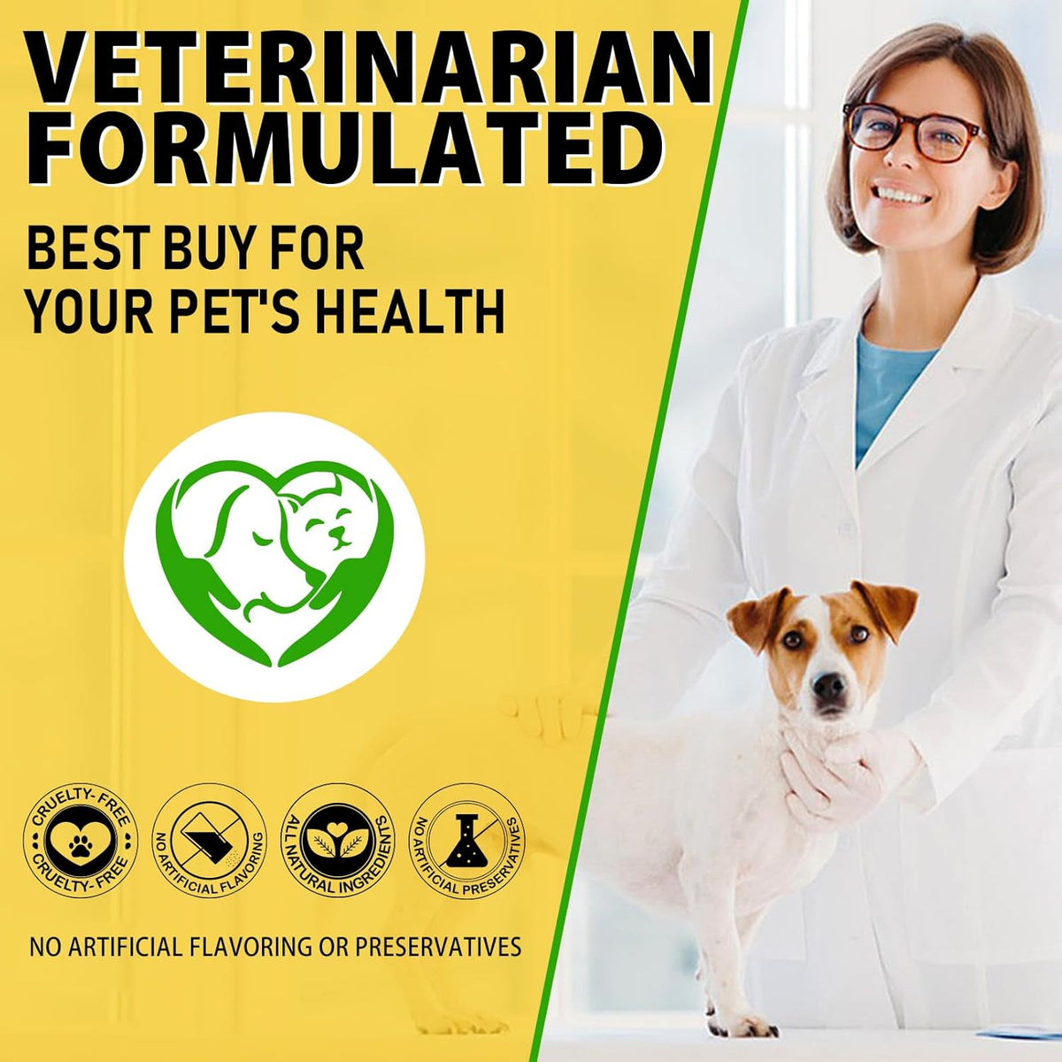 Dog Ear Infection Treatment - 2 fl oz G53440