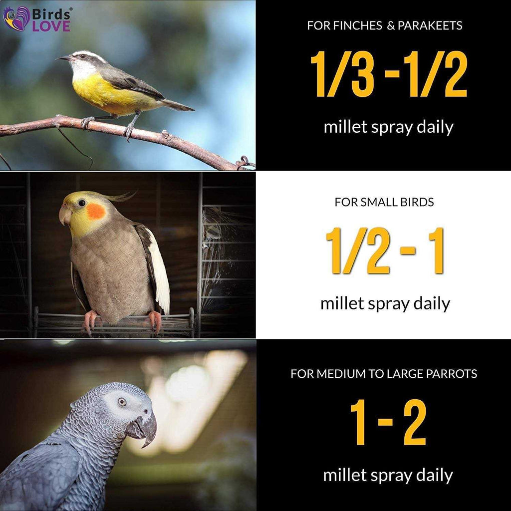 Spray Millet for Parrots Cockatiel Lovebird Parakeet Finch Canary H516