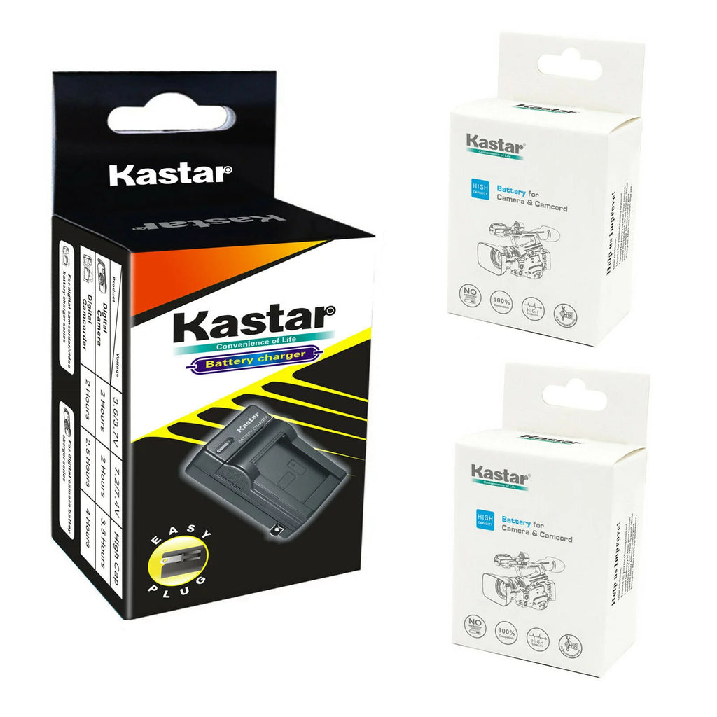 2-Pack Battery and AC Wall Charger H160567