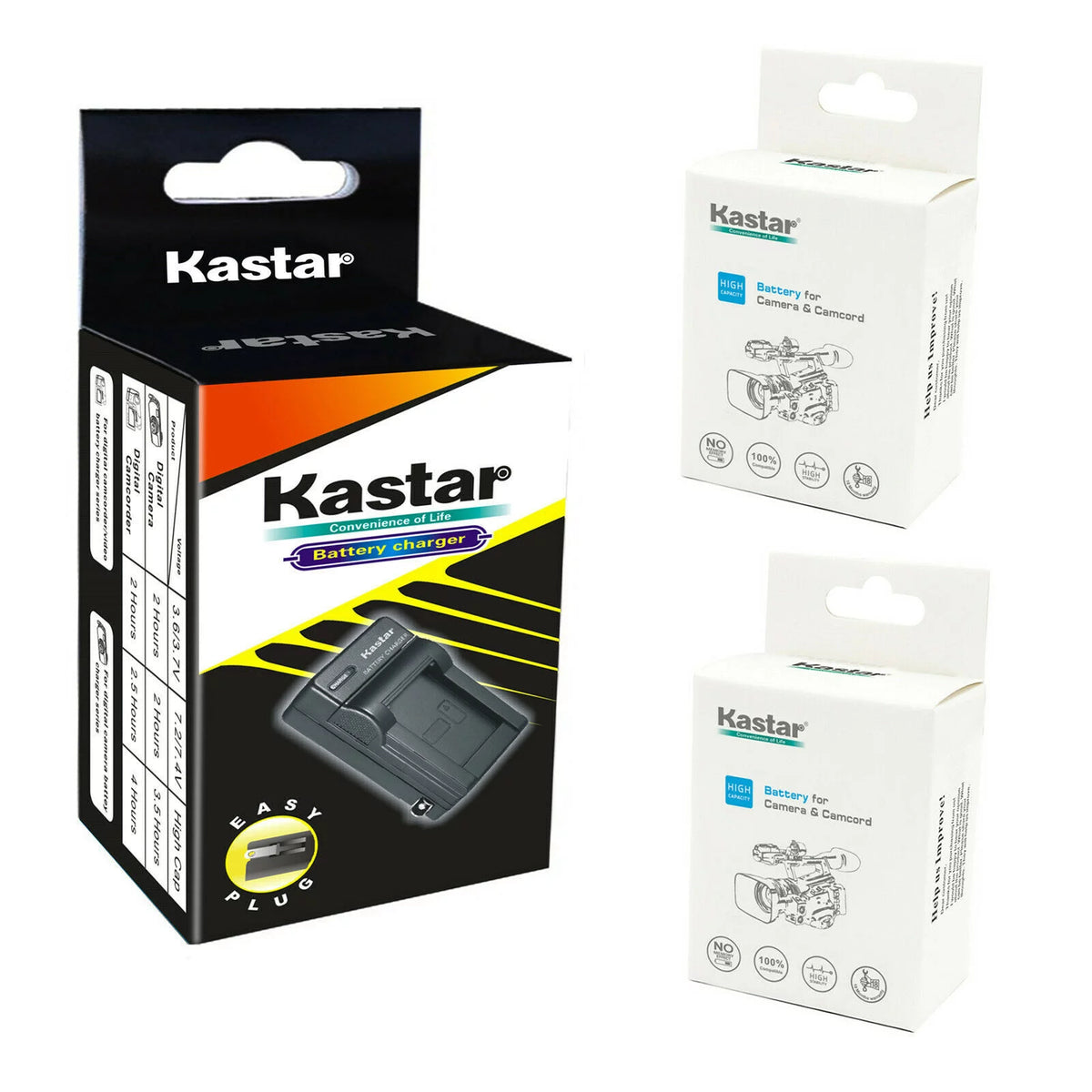 2-Pack Battery and AC Wall Charger H160567