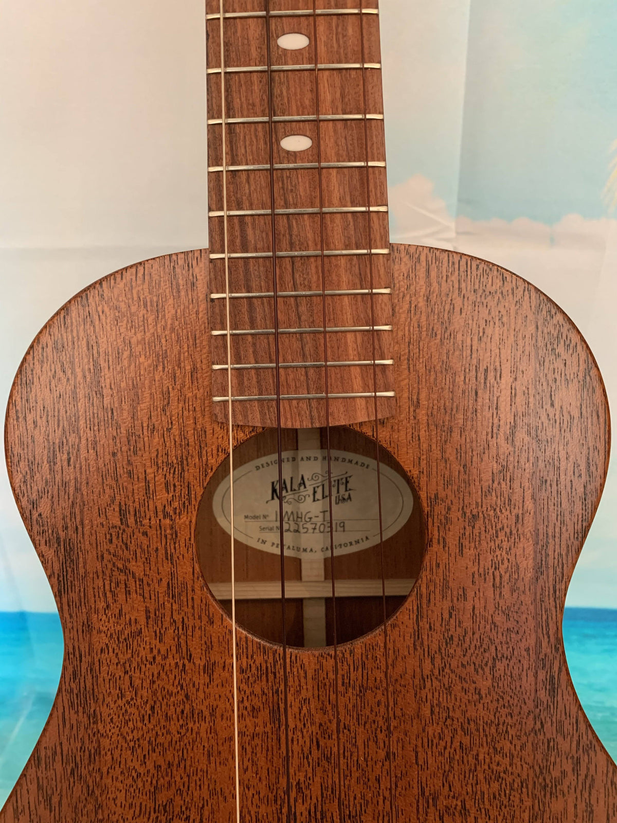Tenor Ukulele R780