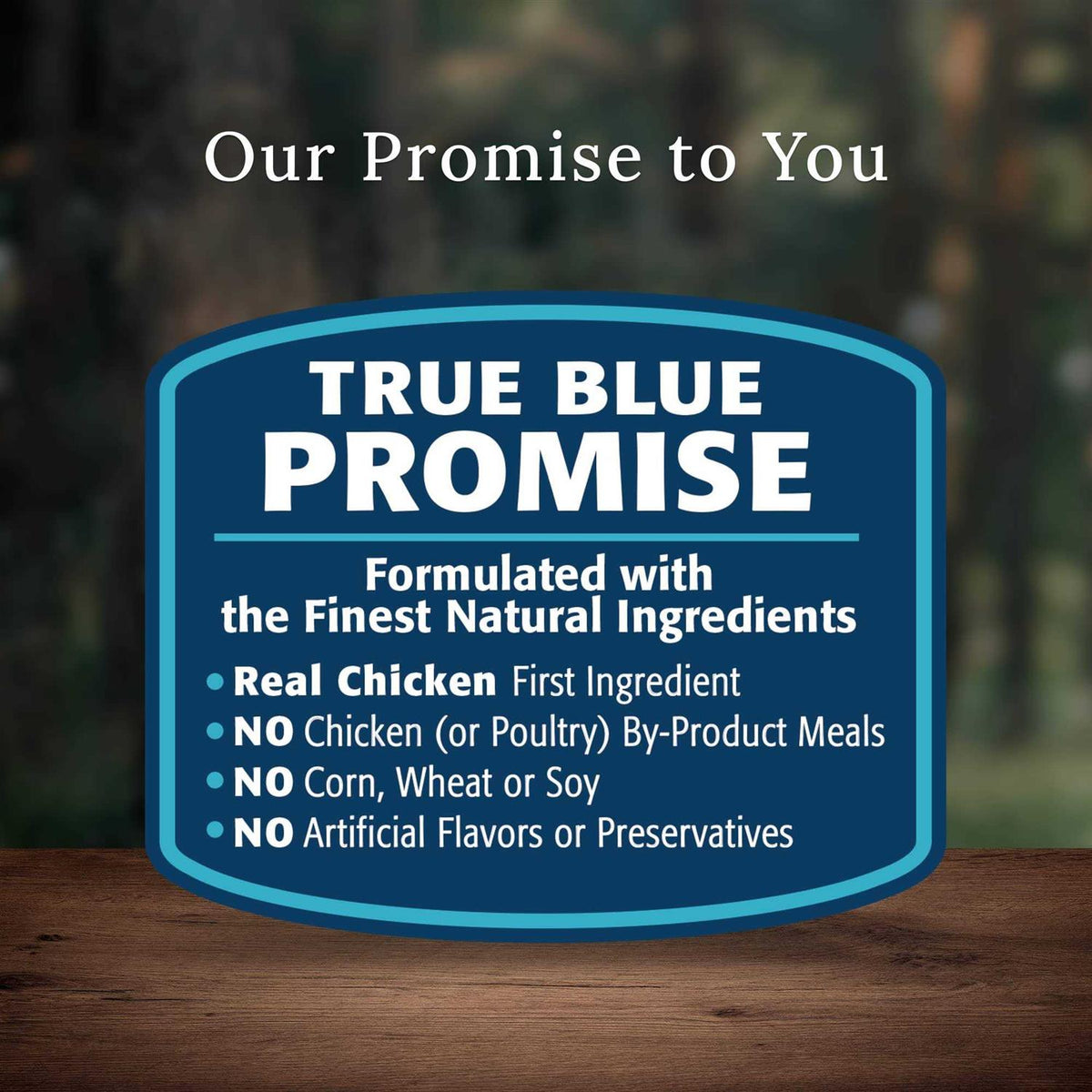 Blue Buffalo Wilderness Rocky Mountain Recipe Dog Food F606020