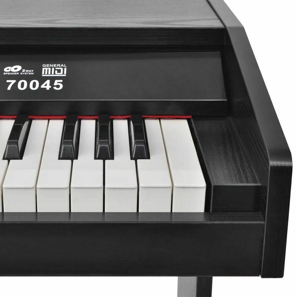 88-Key Digital Piano with Pedals Black H521