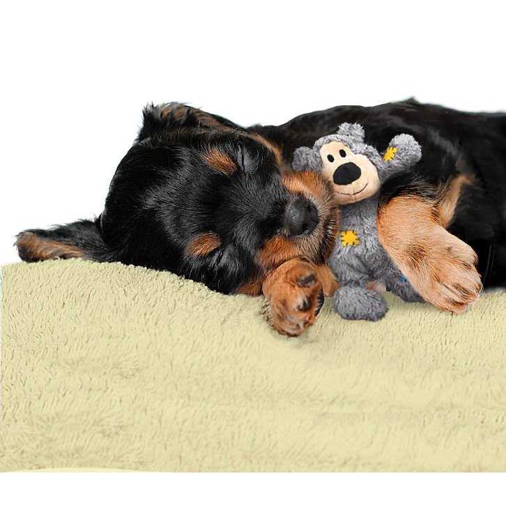 Bear Dog Toy U22093