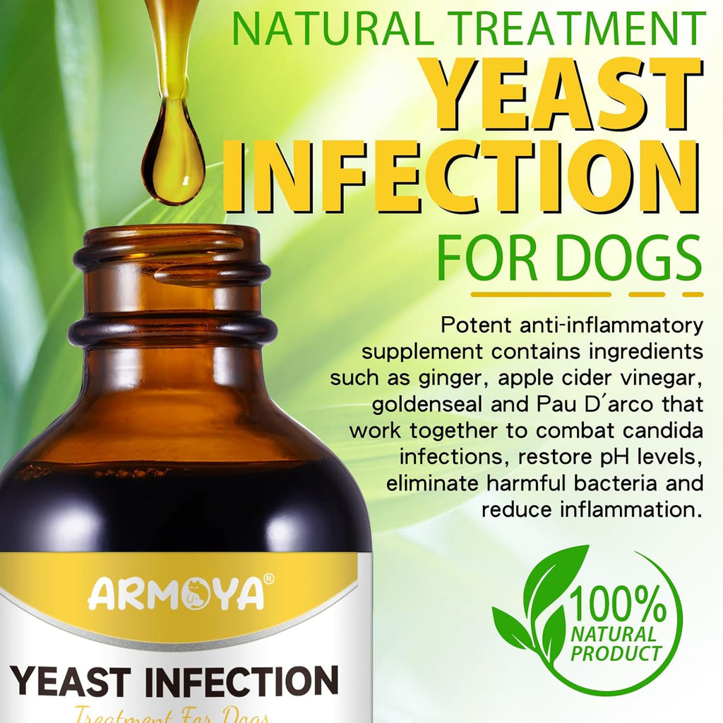 Dog Ear Infection Treatment - 2 fl oz G53440