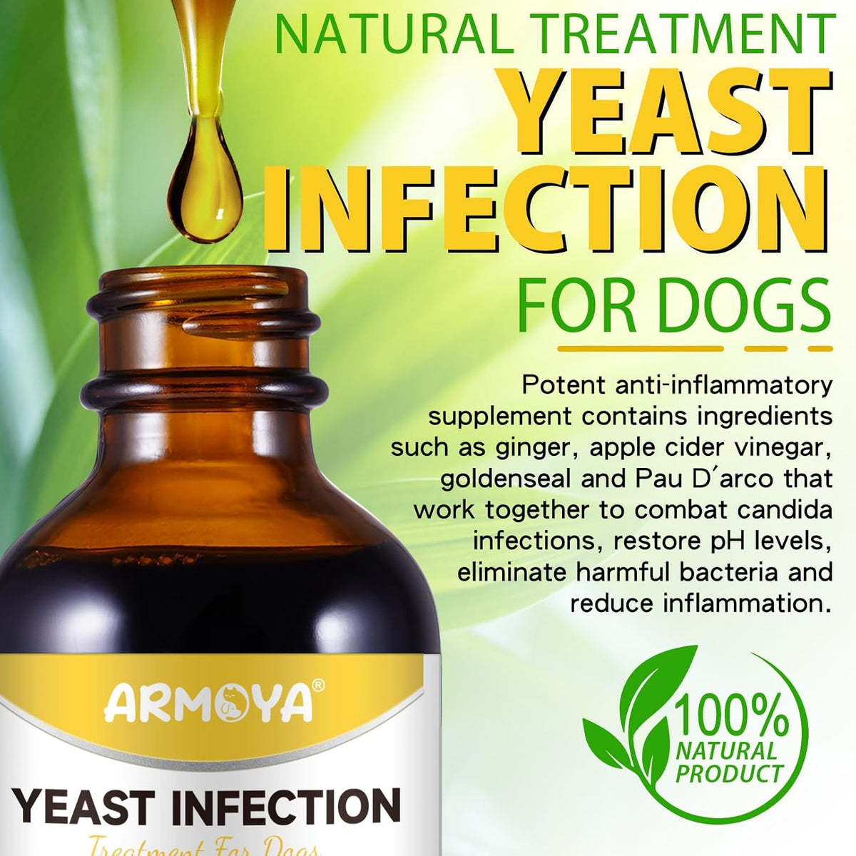 Dog Ear Infection Treatment - 2 fl oz G53440