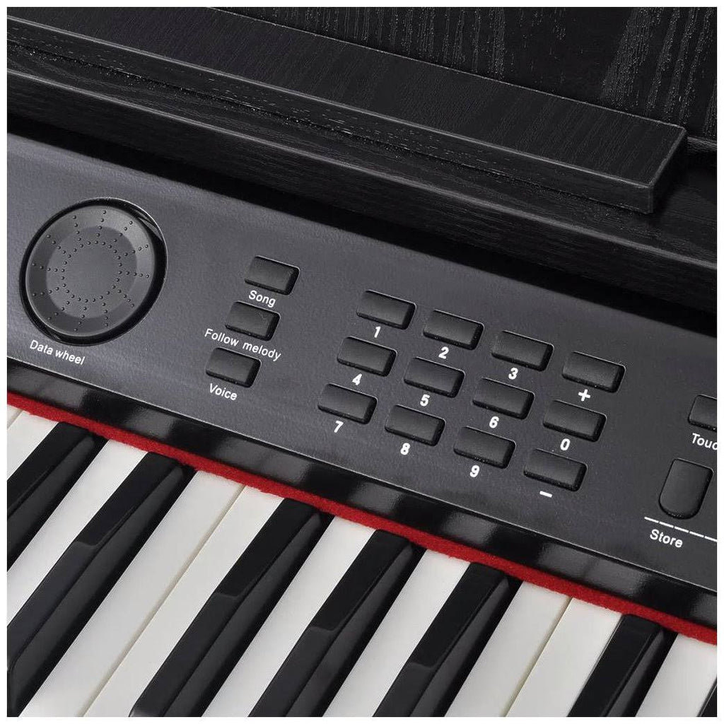 88-Key Digital Piano with Pedals Black H521