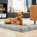 Orthopedic Dog Crate Mat K83925
