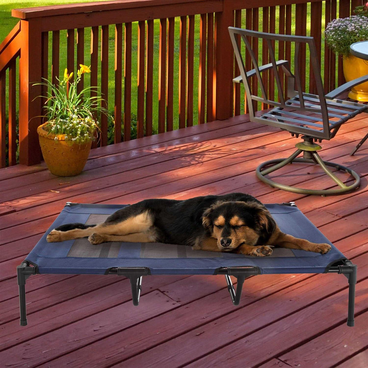 Cot-Style Elevated Pet Bed U708