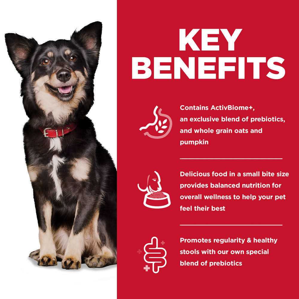 Chicken Dry Dog Food B3770