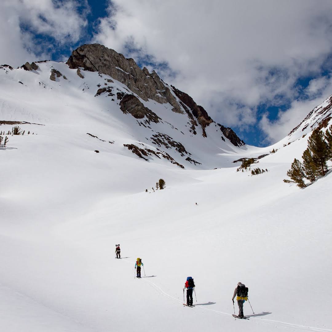 Splitboard O71231