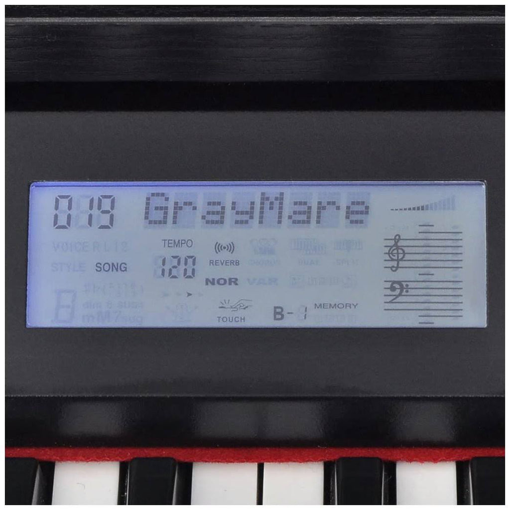 88-Key Digital Piano with Pedals Black H521