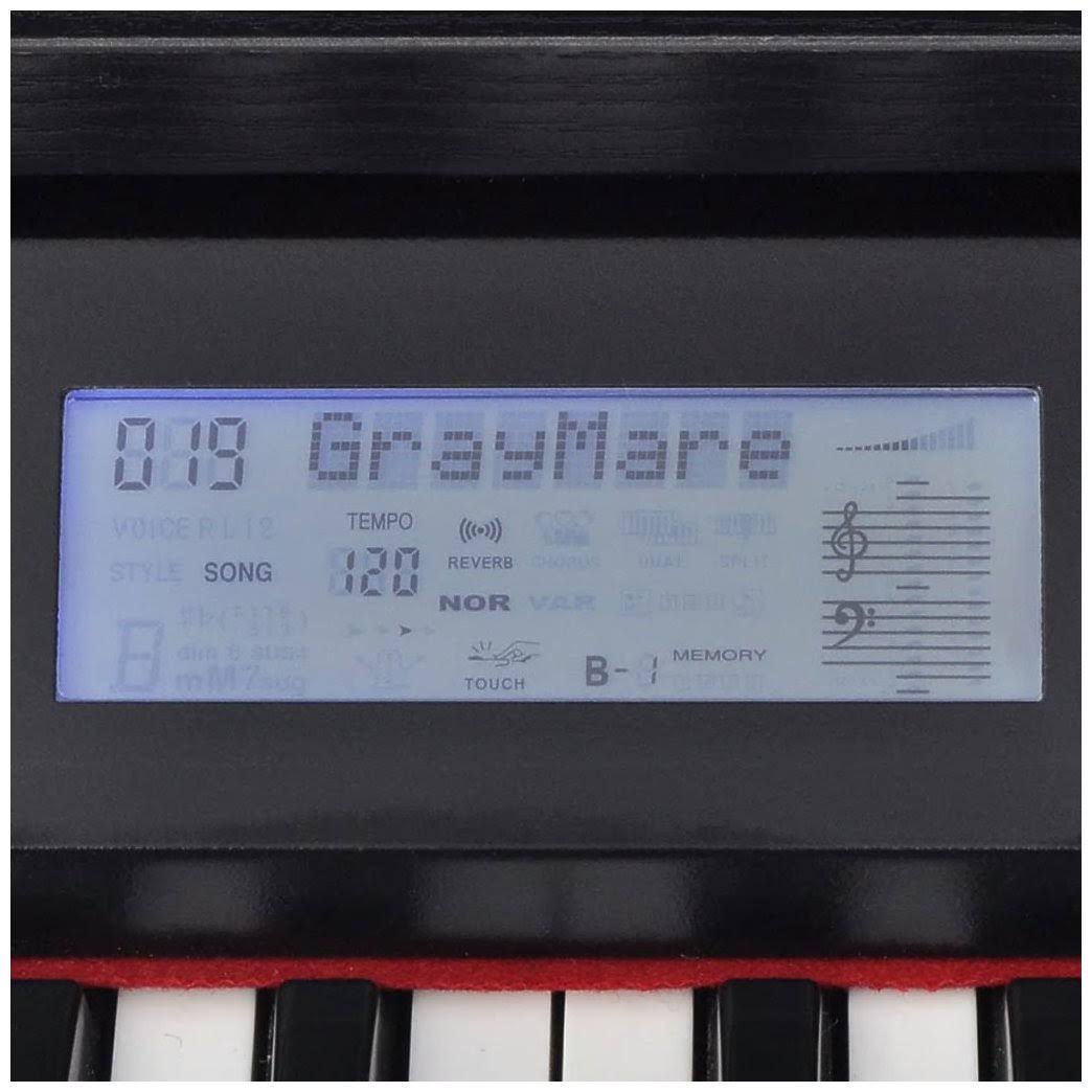 88-Key Digital Piano with Pedals Black H521
