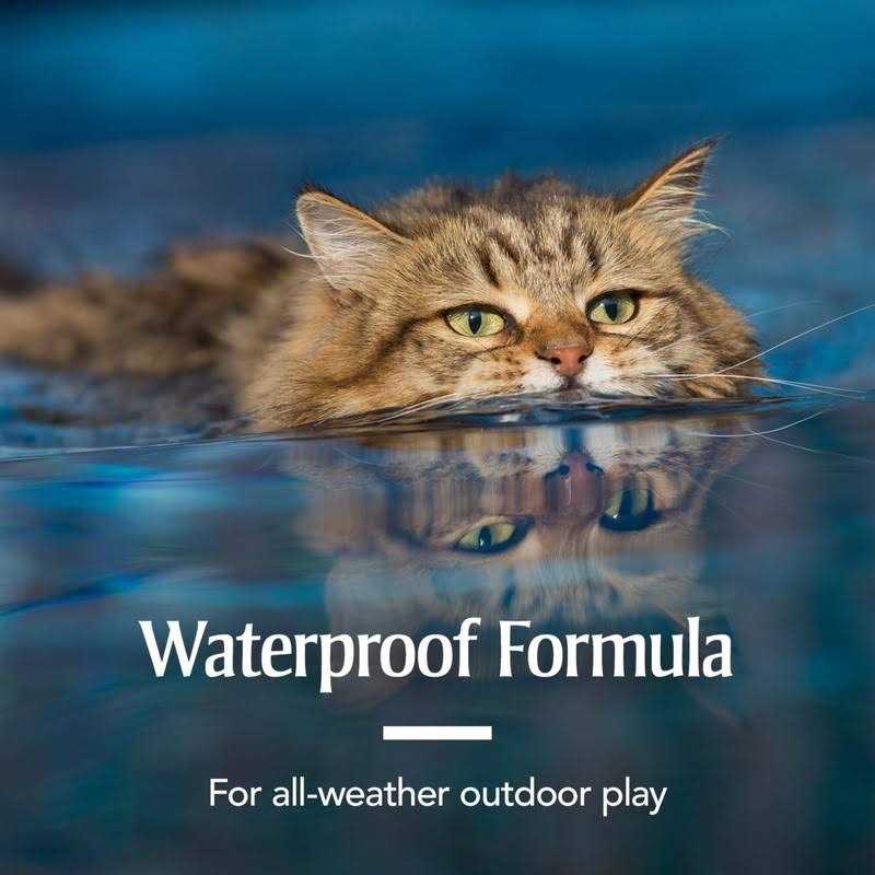 Flea and Tick Treatment for Cats U41497