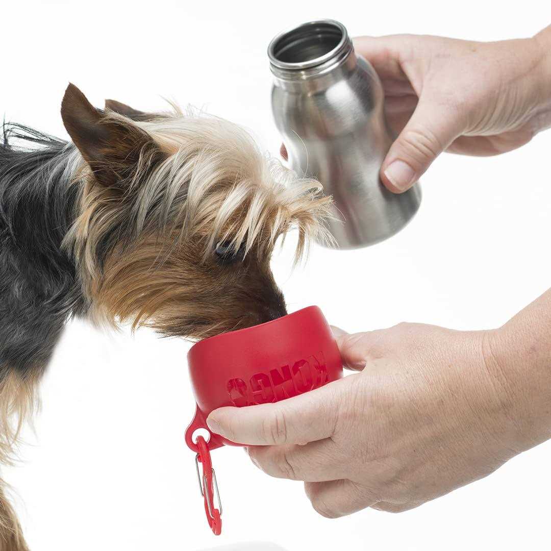 Stainless Steel Dog Water Bottle O8020