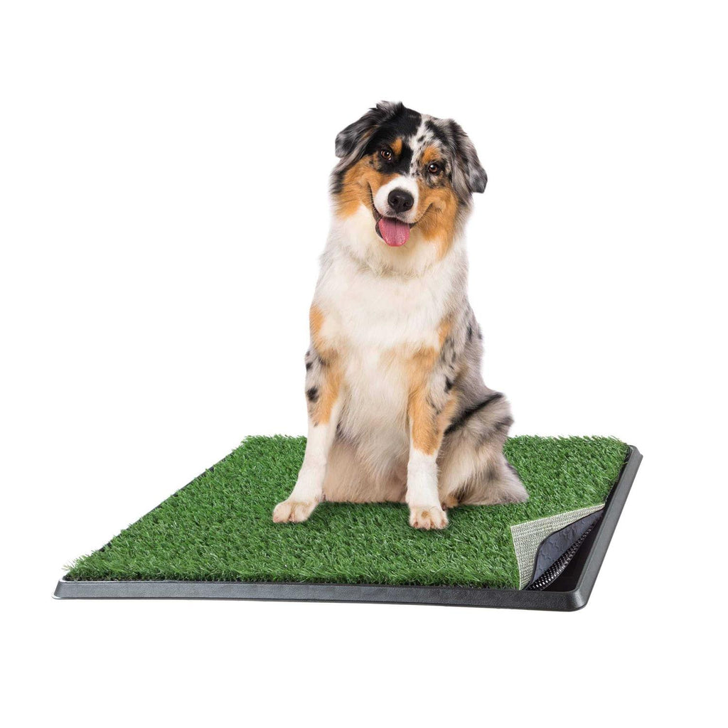 Artificial Grass Dog Potty Pad with Tray Z698