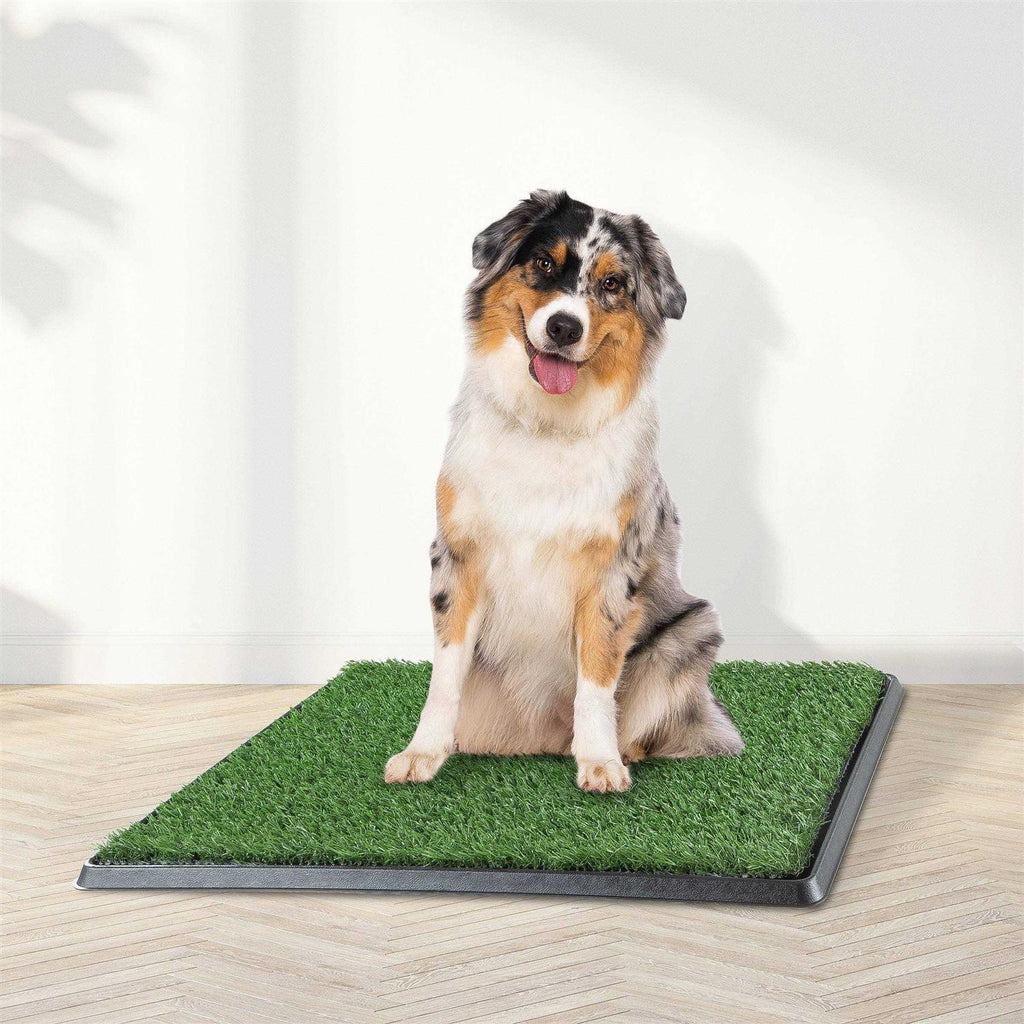 Artificial Grass Dog Potty Pad with Tray Z698