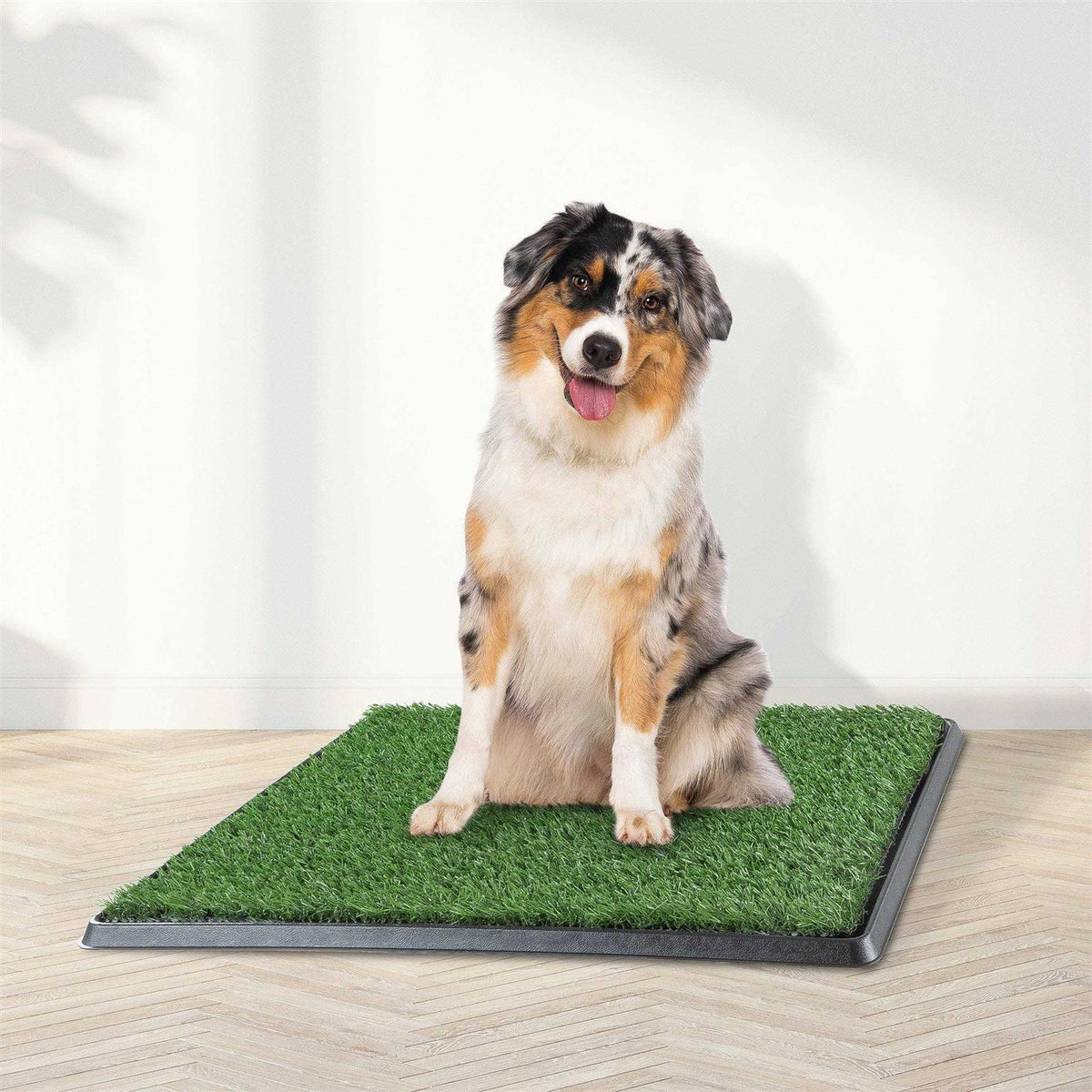 Artificial Grass Dog Potty Pad with Tray Z698