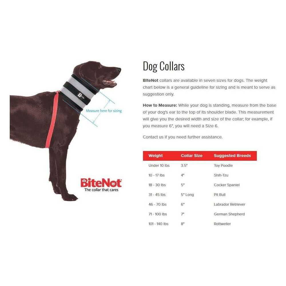 Pet Collar E40128