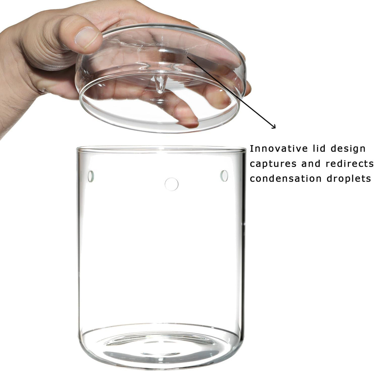 Glass Plant Terrarium – 4.7 x 7 in Small Glass Planter with Lid V441082