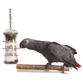Foraging Push and Pull Pet Supplies I48542