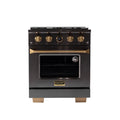 30 4.2 cu. ft. 4 Burner Natural Gas Dual Fuel Range Stainless Steel T790693