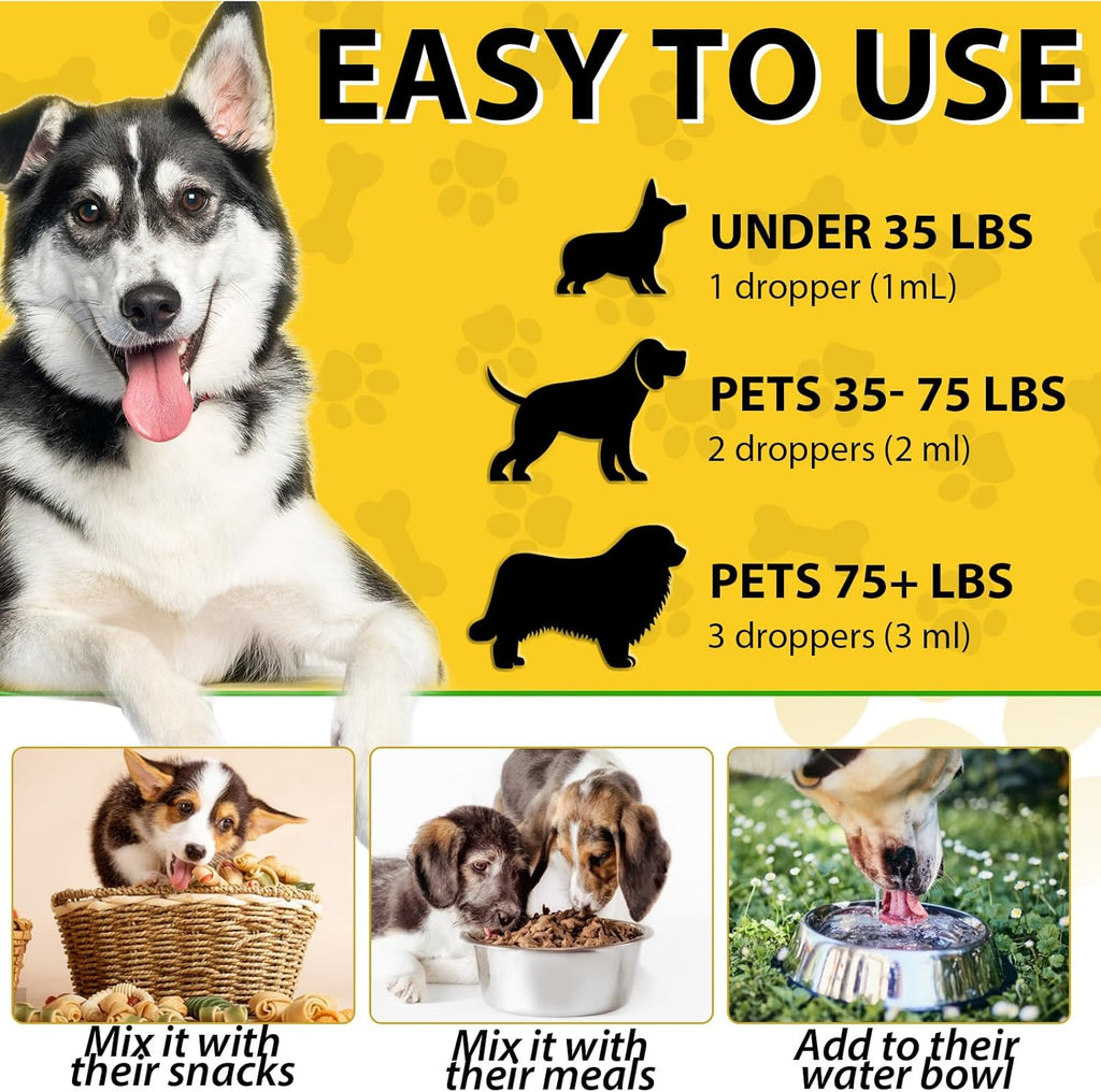 Dog Ear Infection Treatment - 2 fl oz G53440