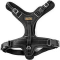 Padded Dog Harness S343463