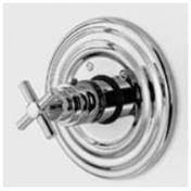 Satin Nickel Thermostatic Trim Plate with Handle E520