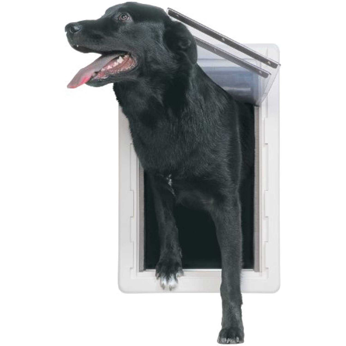 All Weather Pet Door Z967398
