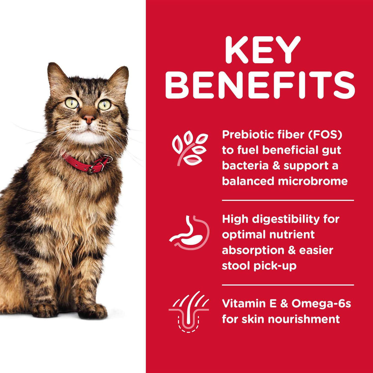 Sensitive Stomach and Skin Dry Cat Food E756477