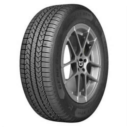 225/65R17 Tire Z29702