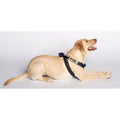 Blue Travel Safe Harness B35490