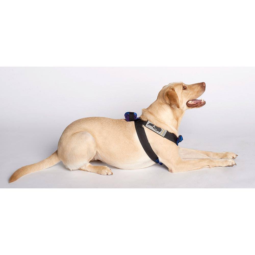 Blue Travel Safe Harness B35490
