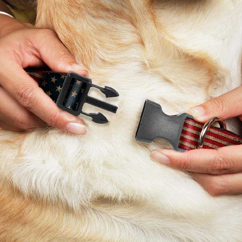 Buckle-Down Collar G5067