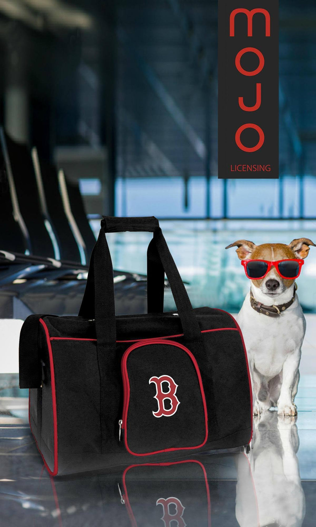 Premium Pet Carrier L53565